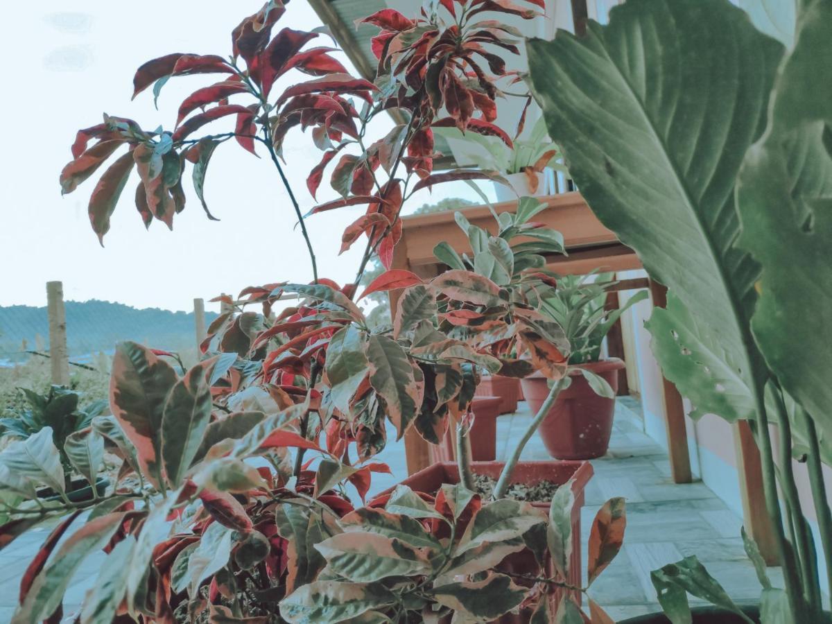Nobi'S Inn, Port Barton San Vicente  Εξωτερικό φωτογραφία